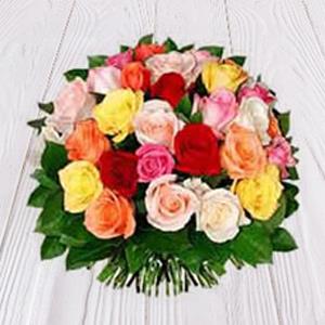  Send Mixed Joy Mumbai 