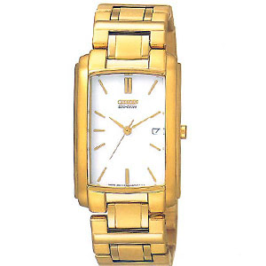 Citizen  Dress 12