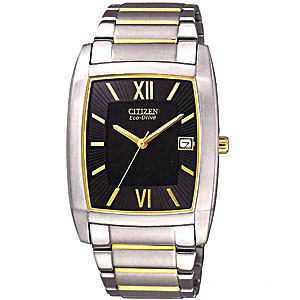  Citizen  Dress 08 