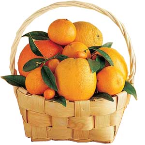  Send Jumbo Juicy Basket Mumbai 