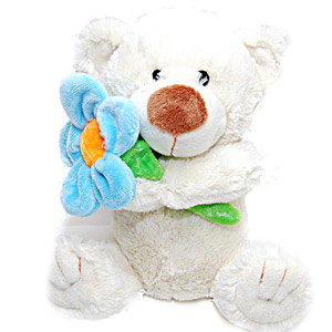  Send Teddy with Flower Mumbai 