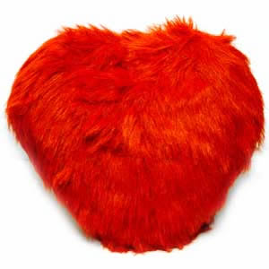 Furry Heart