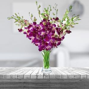 6 Orchid in a Vase (Midnight)