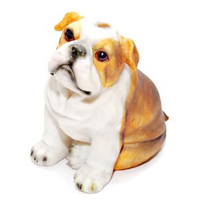  Send Lovable Doggy Mumbai 