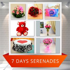 Mon Amour Valentine Serenade
