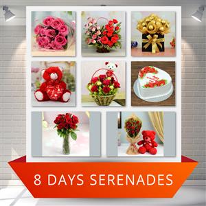 8 days Serenade & Valentines Cake