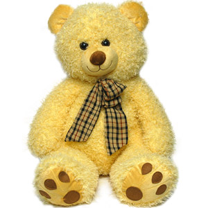  Cute Teddy 