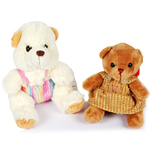  Send The Cuddly Two Bangalore 