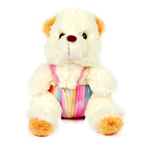 Send Cuddly Teddy Bear to Chennai
