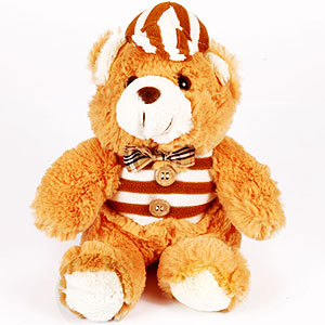 Send Furry Teddy to Bangalore