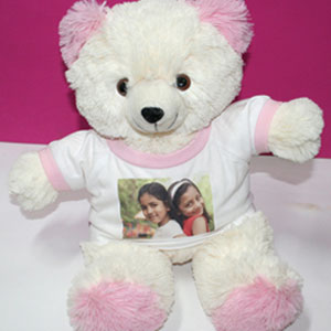  Teddy Bear 