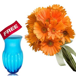Orange Gerberas (Offer)