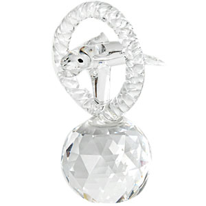 Crystal White Dolphin