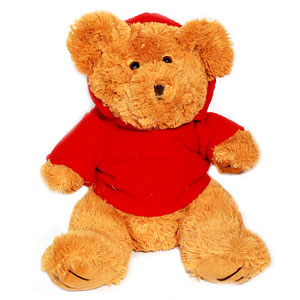  Send Orange Teddy Bear Mumbai 