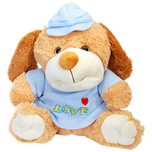  Send Fluffy Puppy Mumbai 