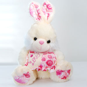  Send Delicate Bunny Mumbai 