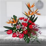 Send Baskets of Flowers to Mumbai