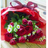 Red Roses Album