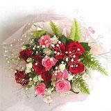 Send Sparkling Rose to Bangalore
