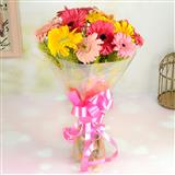 Gerberas Bouquet