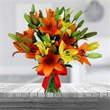 Send Most Favorable to Mumbai