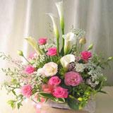 Optimum Flora