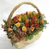 Hottest Baskets