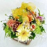 Colourful Basket