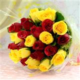 24 Red & Yellow Roses
