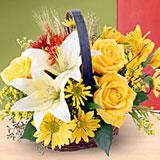 Send Autumn Beauty to all destinations in India