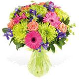 Colourful Arrangement