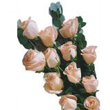 Send 12 Roses Bunch to Bangalore