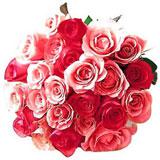 Send 12 Roses Bunch to Bangalore