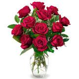12 Roses in a Vase