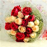 Colours of Love