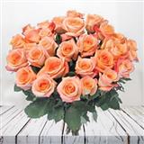 Send 36 Roses to Chennai