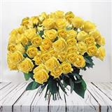 Send 50 Roses to Chennai
