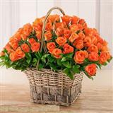 Send 200 Roses Basket to Hyderabad