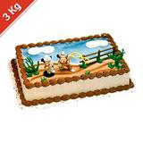 Mickey & Minnie Cake
