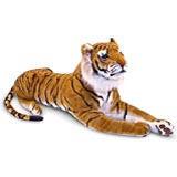 Royal Bengal Tiger