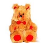 Brown Teddy