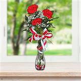 3 Carnations in a vase