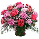 Carnation arrangement