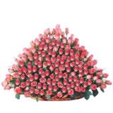 250 Roses Basket 