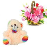 Beary Surprise