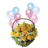 Birthday