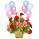 Happy  Birthday