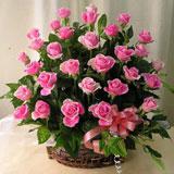 Send All Pink - Midnight Delivery to Bangalore