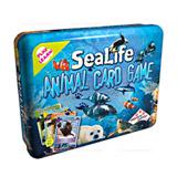 Send Sealife Fun to all destinations in India