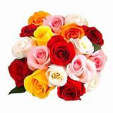 Send 18 Multicolour Roses to all destinations in India